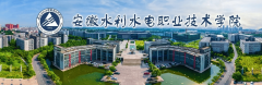 2026年安徽水利水电职业手艺学院高职单招分类测